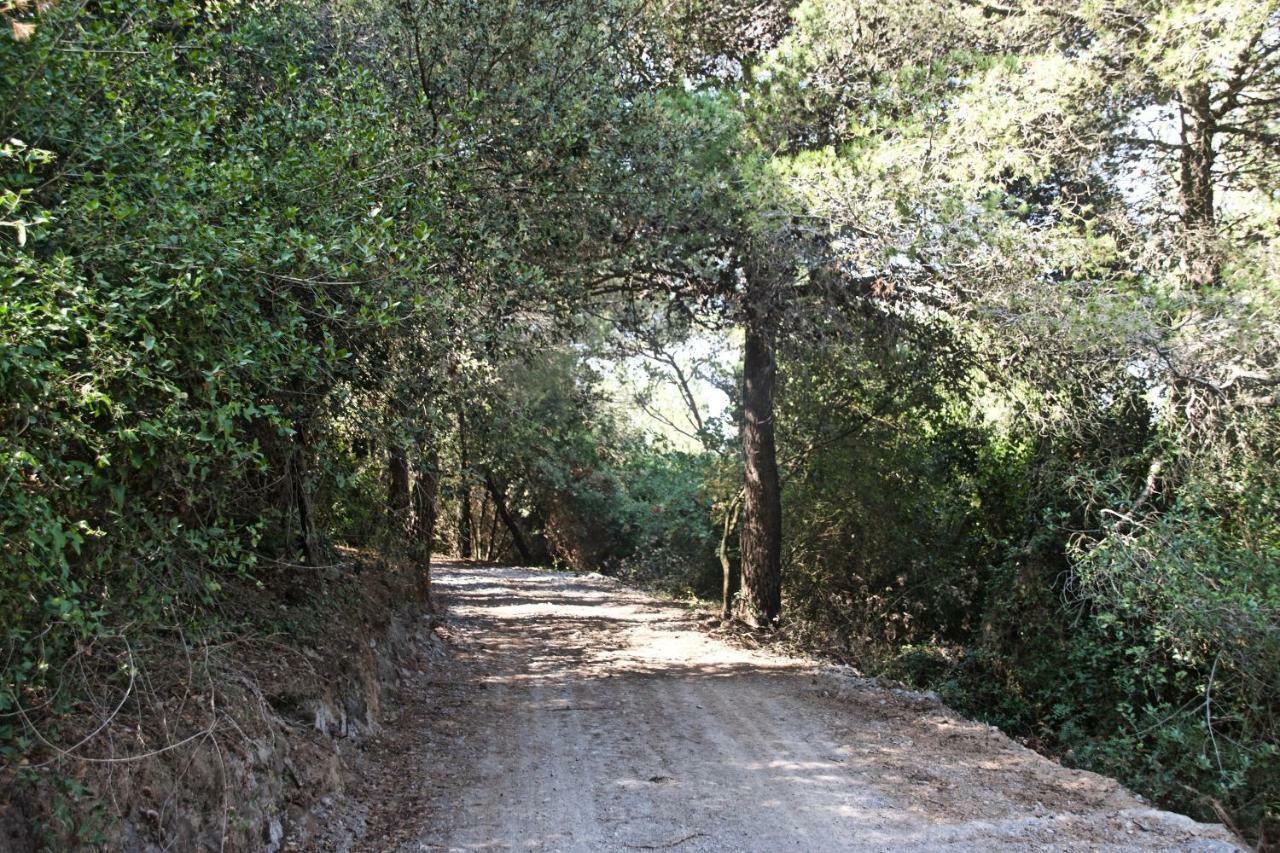 Casa Vacanze A Lea L'Ua Finale Ligure Exteriör bild