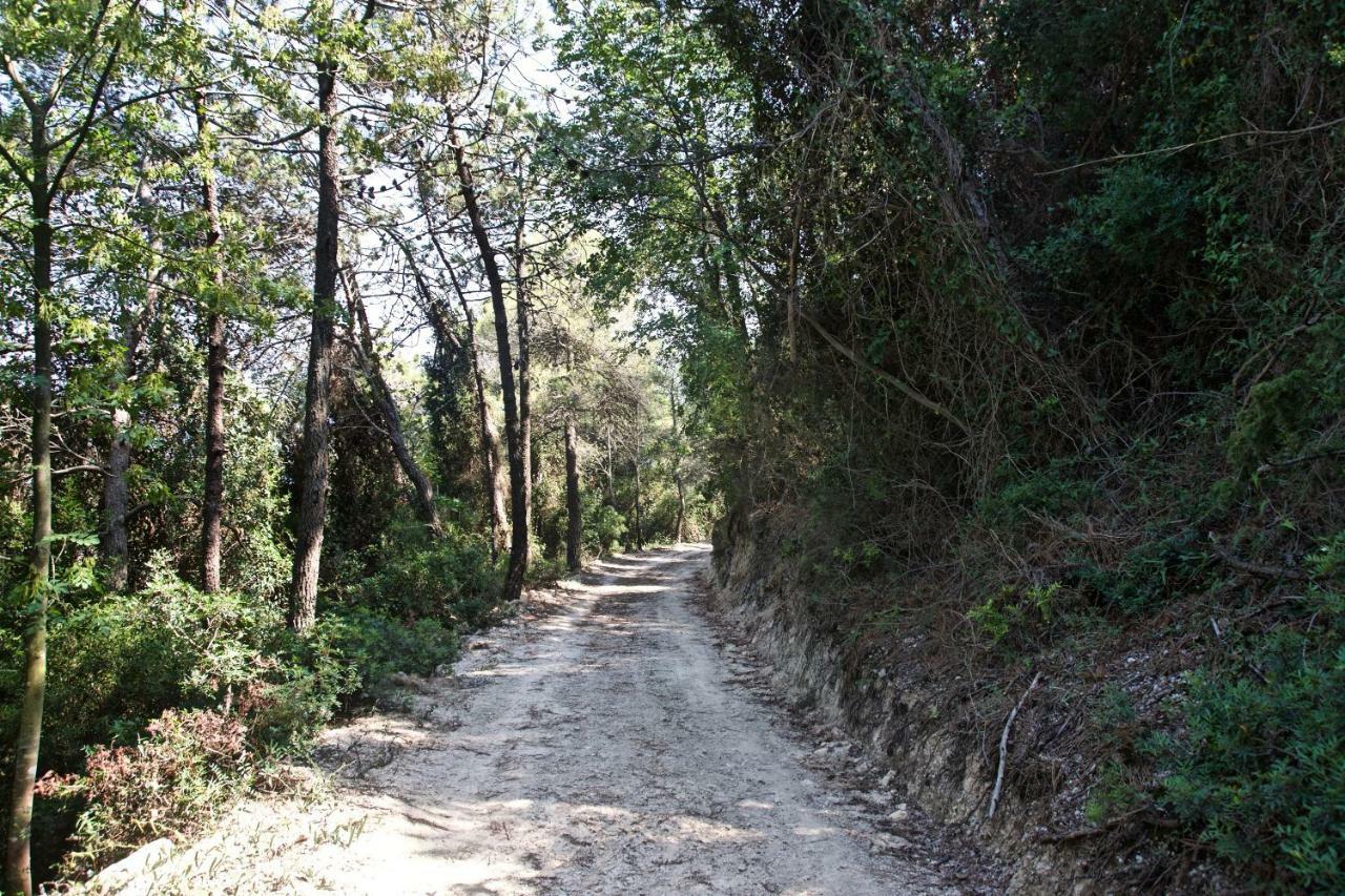 Casa Vacanze A Lea L'Ua Finale Ligure Exteriör bild
